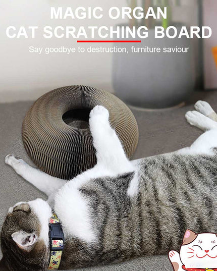 Libiyi Magic Organ Cat Scratch Board. - Libiyi