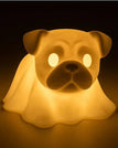 Pug