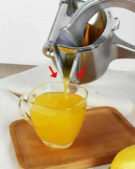 Stainless Steel Juicer - Libiyi