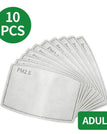 Extra PM2.5 Filters(10PCS)